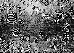Skamielina