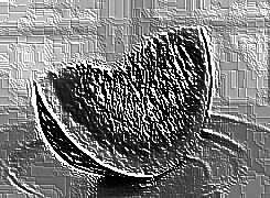 Skamielina
