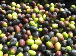 Oryginalny obrazek