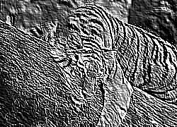 Skamielina