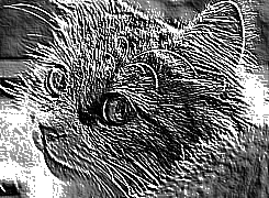 Skamielina