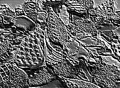 Skamielina
