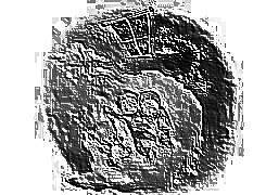 Skamielina