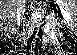 Skamielina