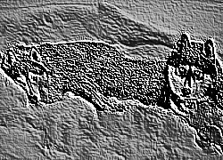 Skamielina