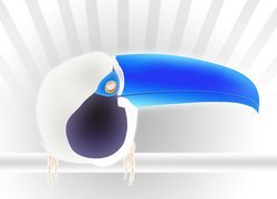 Negatyw