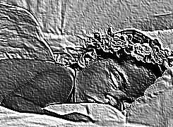 Skamielina
