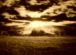 Sepia