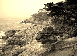 Szary + Sepia