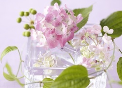 Oryginalny obrazek