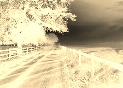 Sepia + Negatyw