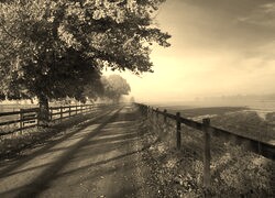 Szary + Sepia