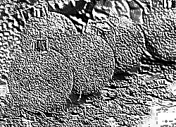 Skamielina