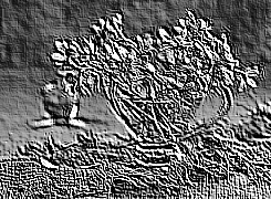 Skamielina