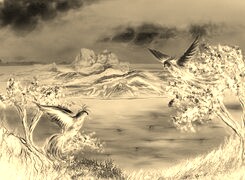 Sepia + Negatyw