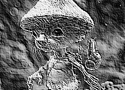 Skamielina