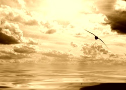 Sepia