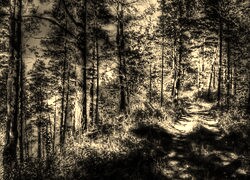 Szary + Sepia