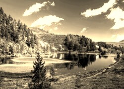 Szary + Sepia