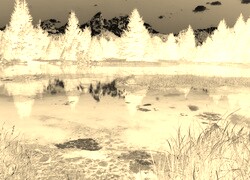 Sepia + Negatyw
