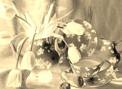 Sepia + Negatyw
