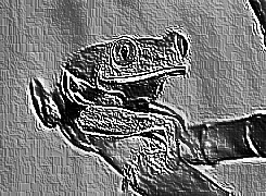 Skamielina