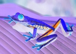 Negatyw
