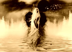 Sepia + Negatyw