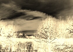 Sepia + Negatyw