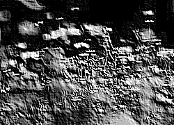 Skamielina