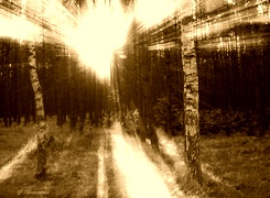 Sepia