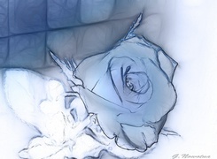 Negatyw