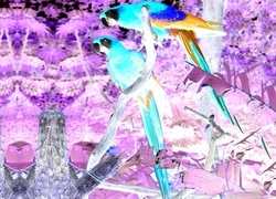 Negatyw