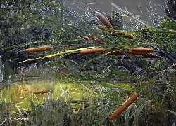 Oryginalny obrazek