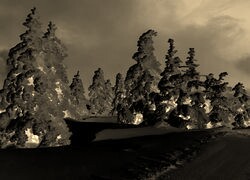 Sepia + Negatyw