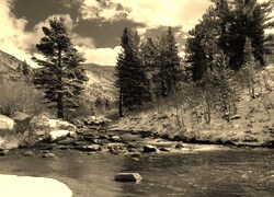 Sepia