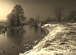 Szary + Sepia