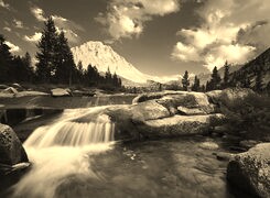 Szary + Sepia