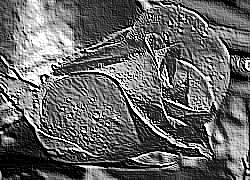 Skamielina