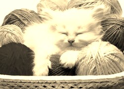 Szary + Sepia