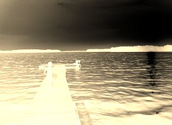 Sepia + Negatyw