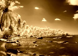 Sepia