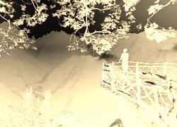 Sepia + Negatyw