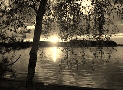 Szary + Sepia