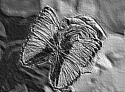 Skamielina