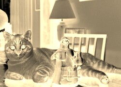 Sepia + Negatyw