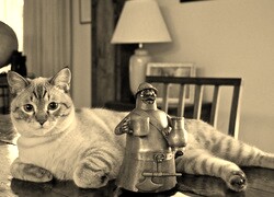Szary + Sepia