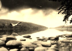 Szary + Sepia