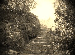 Szary + Sepia