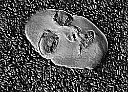 Skamielina